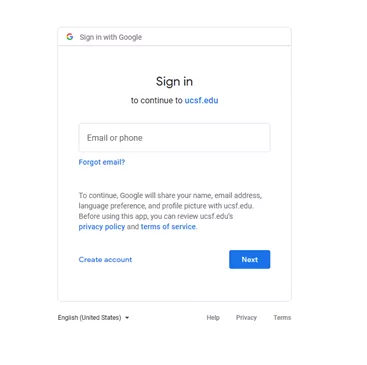Google Sign-In Page